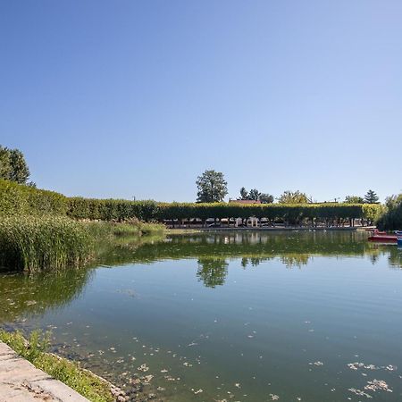Appartement Cosy ,Wifi ,Gare "Le Refuge Du Lac" فينْيو سور سين المظهر الخارجي الصورة